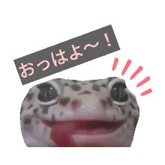 Arisa_20220603164009