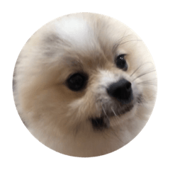 誒冷