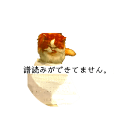 Matsu_20220603193636