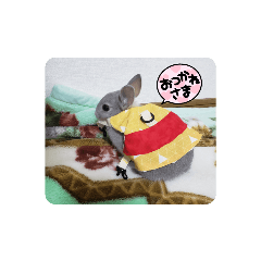 YUKINA_20220603214744