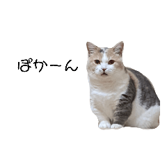 nozomi_20220603215428