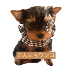 yamada_20220603173424