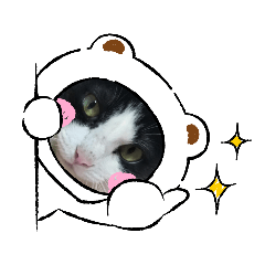 ゆうこさんのお部屋