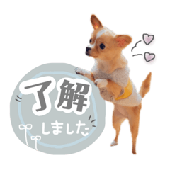 aoi_20220604003513