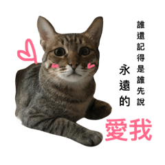 阿嚕的日常生活1