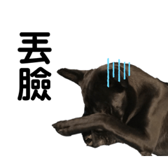 椒(⁎⁍̴̛ᴗ⁍̴̛⁎)