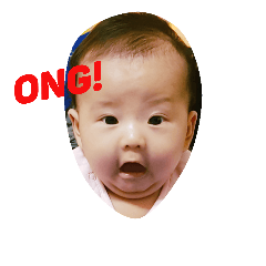 小蛋白2