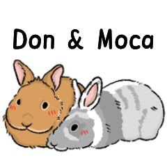 Rabbit's Diner - Don Don & Moca