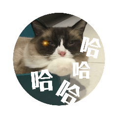 臉逐漸變黑ㄉ貓( ᐛ