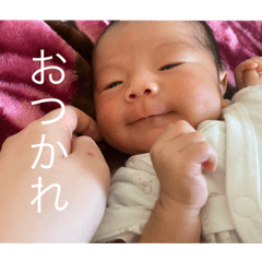 akari_20220604133217