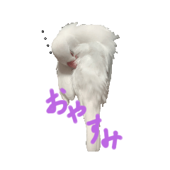 Hikaru_20220604161646