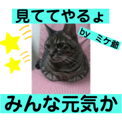 sayuri_20220604202656