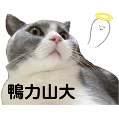 嚕嚕的日常用語3.0