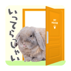 Roger's strongest and cute stamp