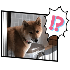 satoshi_20220604214212