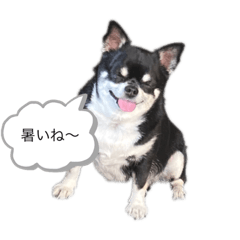 hana_20220605002004