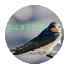 ai_20220604183027