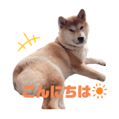 kazuki_20220604213841