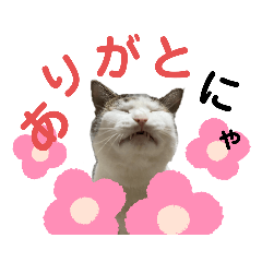 aoi_20220604222331