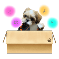 shiho_20220605124000