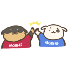 Moshi & Moshe