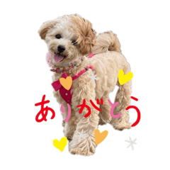 Kuu_20220605132807