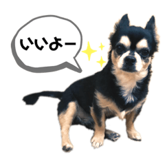 kaori_20220604212005