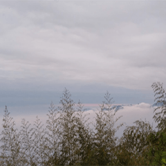 sea of clouds on mountain