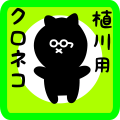 black cat sticker for uekawa