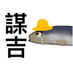 有禮貌的魚魚魚