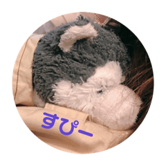 Kohasuki_20220605105357
