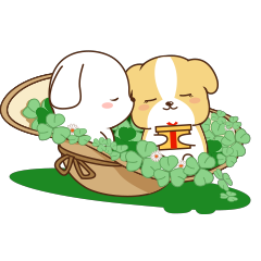 茶米狗4