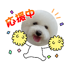 haNa_20220605115930