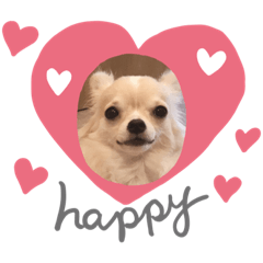 Cherry_20220605170457