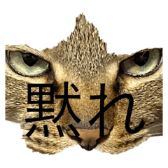 Kuu_20220605171726