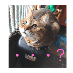AOI_20220605202557