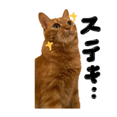 nekoinochi_20220605161134