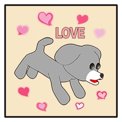 Toy poodle (Love version 1)