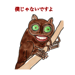 tarsier the little monkey 2