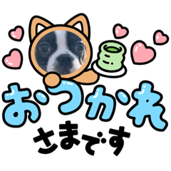 shiho_20220605200654