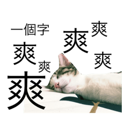可愛ㄤ