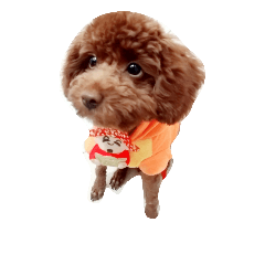 BabyDog1
