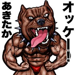 Akitaka dedicated Muscle macho animal