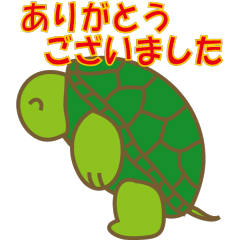 Tortoise greeting 02
