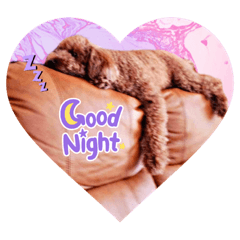 Natsumi_20220605212235