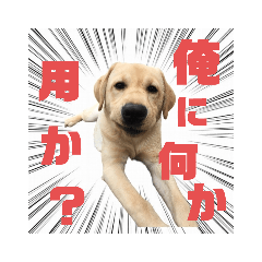 YAMADA_20220605231246