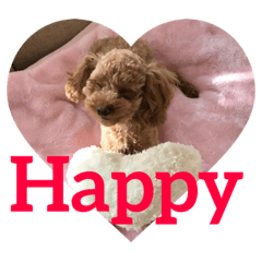 princess baby dog
