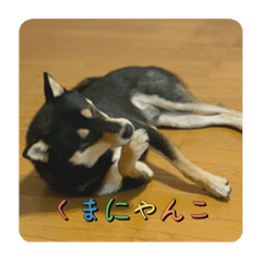 YUKARI_20220606002229