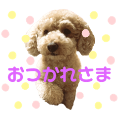 hana_20220605lulu