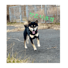 kazuki_20220605182052